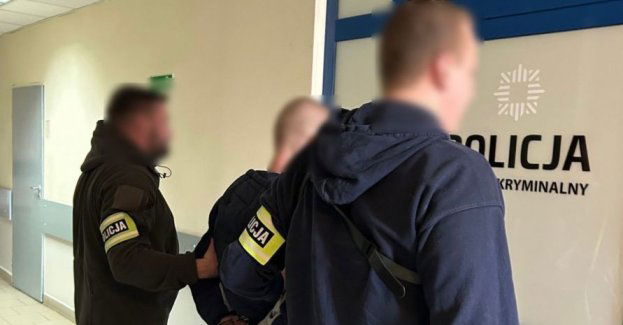 Nowe Miasto - Złodziej lusterek w rękach policjantów