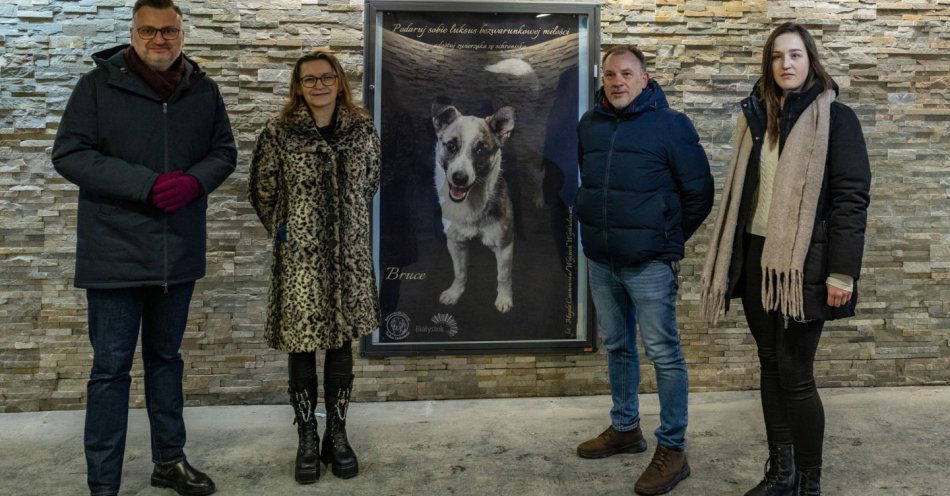 zdjęcie: Podaruj sobie luksus bezwarunkowej miłości / fot. nadesłane