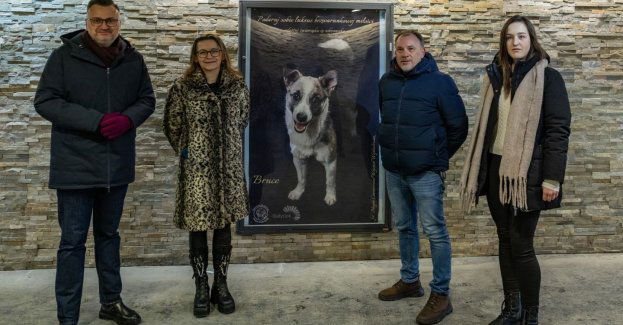 Podaruj sobie luksus bezwarunkowej miłości