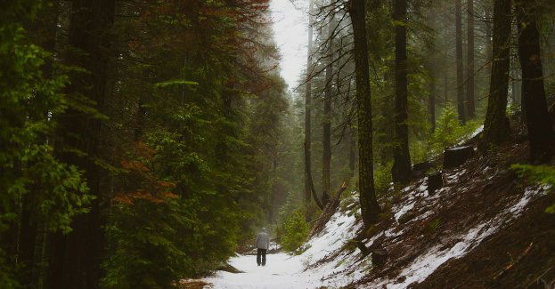 Zawiadomienie do prokuratury ws. sprzedaży lokali z zasobów Lasów Państwowych