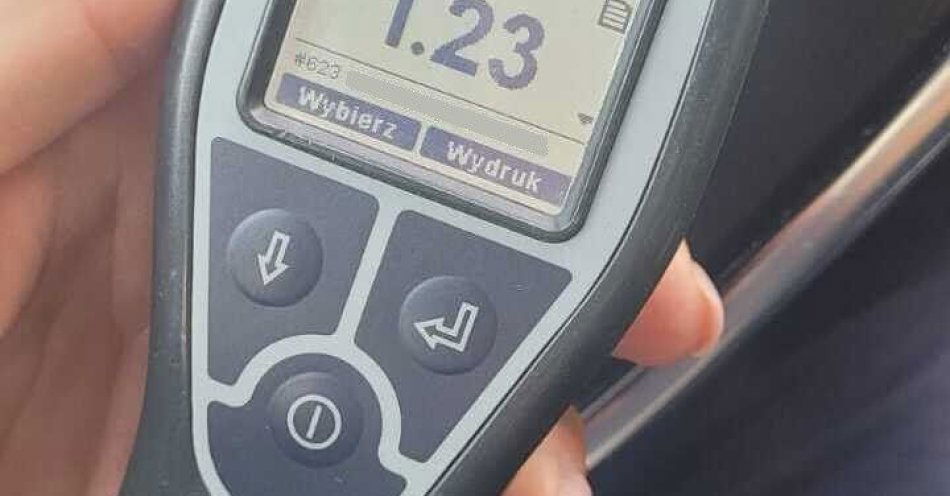 zdjęcie: Pijany z zakazem prowadzenia skazany na 9 miesięcy więzienia / fot. KPP w Gryfinie