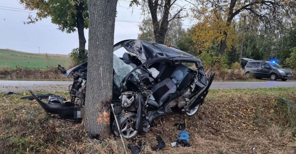 zdjęcie: Fiatem uderzył w drzewo / fot. KPP Tomaszów Lubelski