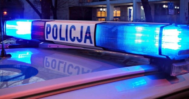 Odpowie za zabicie psa ze szczególnym okrucieństwem