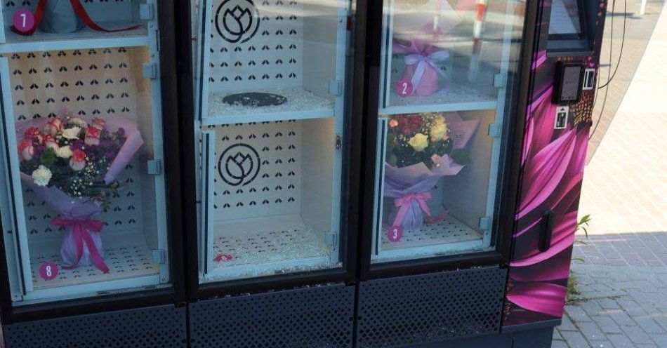 zdjęcie: Bukiety z miłości. Niepoprawny romantyk odpowie przed sądem- grozi mu do 10 lat więzienia / fot. KPP w Świdnicy