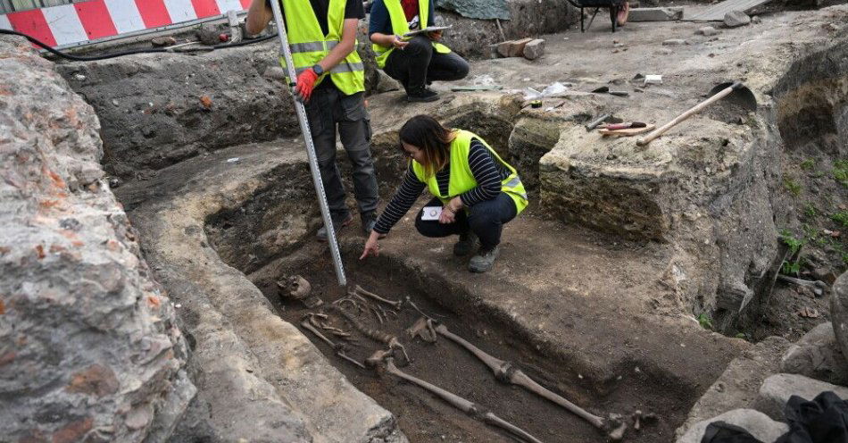 zdjęcie: W Gdańsku archeolodzy odkopali szkielet, który był pod płytą z wizerunkiem rycerza / fot. PAP