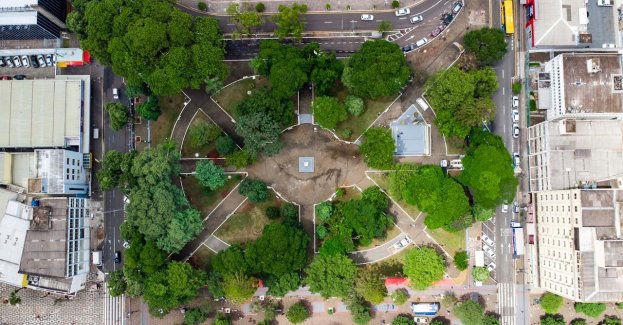 Płacisz podatki, budujesz miasto