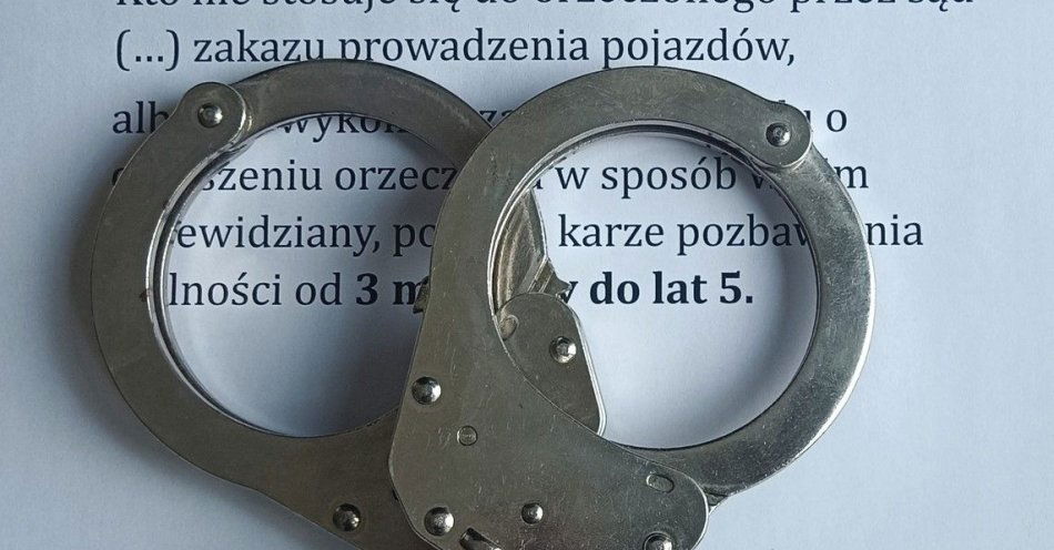 zdjęcie: Za kierownicą auta mimo zakazów / fot. KPP w Pułtusku