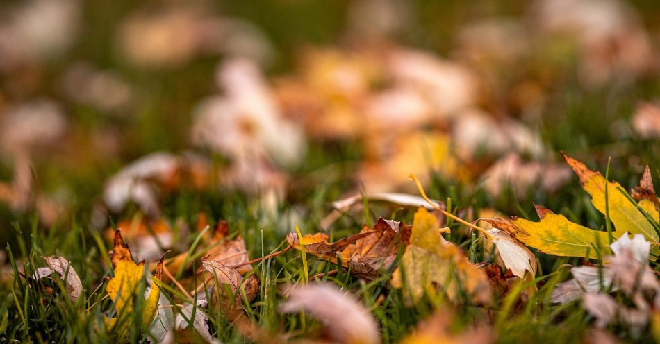 zdjęcie: Prognoza pogody na 11 września / pixabay/4638893