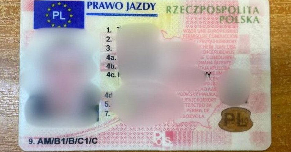 zdjęcie: Podrobione prawo jazdy ujawnione po kontroli prędkości / fot. KPP Września