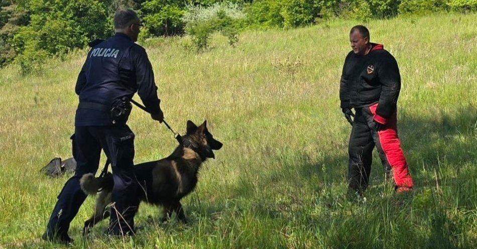 zdjęcie: Eliminacje Wojewódzkie do XXII Kynologicznych Mistrzostw Policji za nami / fot. KPP w Tucholi