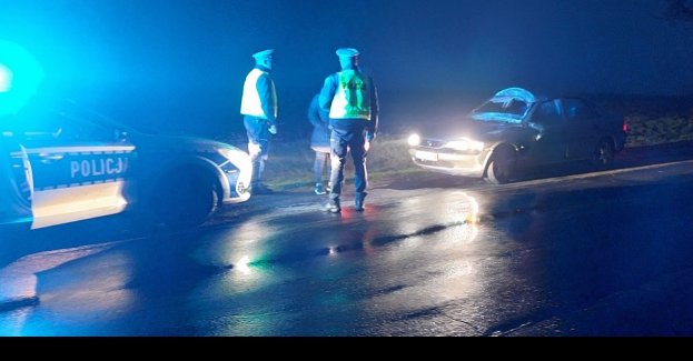 Zdarzenie z jeleniem. Uważajmy na dziką zwierzynę!