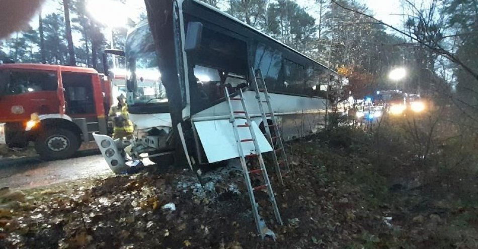 zdjęcie: Czołowo uderzył autobusem w przydrożne drzewo / fot. KPP w Miliczu