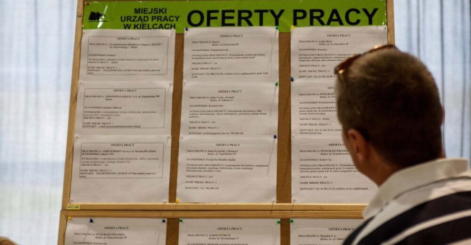 zdjęcie: Liczba ofert w pracy w sierpniu br. o 13 proc. mniejsza niż przed rokiem / fot. PAP