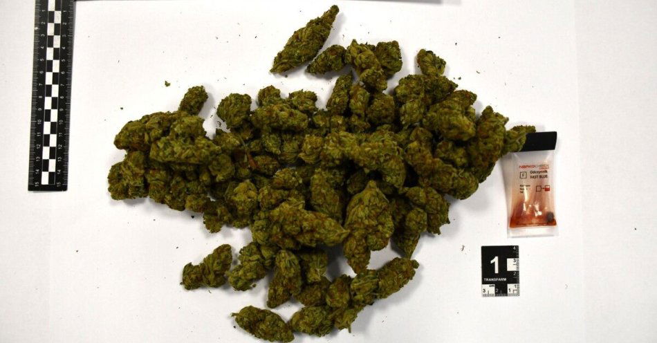 zdjęcie: Policja z Pyrzyc zabezpieczyła ponad 200 gramów narkotyków / fot. KPP w Pyrzycach