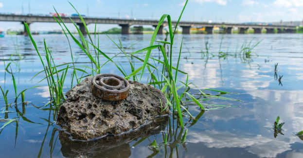 Finał akcji Czysta Odra w Trzebieży - wolontariusze sprzątają rzekę