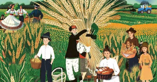 Dożynki wojewódzkie 2025 - spotykamy się w Myślęcinku!