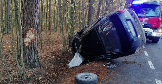 Straciła panowanie nad skodą i uderzyła w drzewo