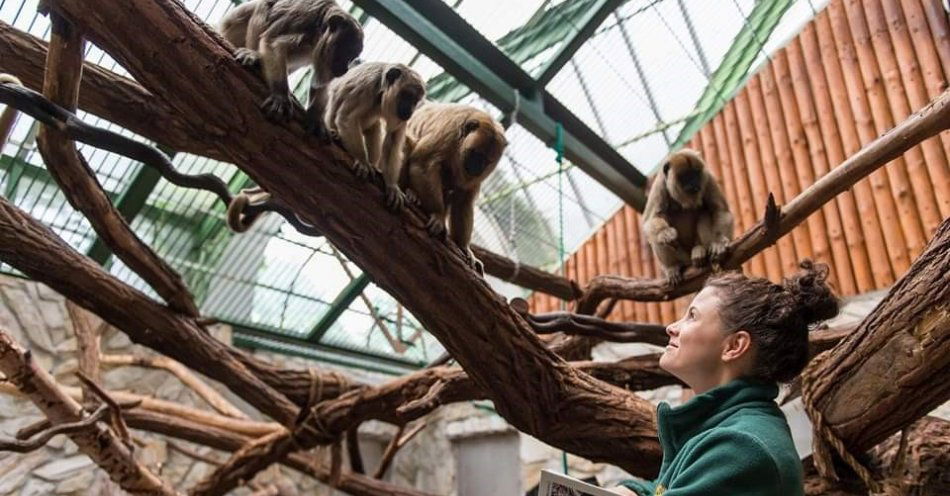 zdjęcie: Konkurs na Dyrektora Generalnego ZOO Wrocław rozstrzygnięty / fot. nadesłane