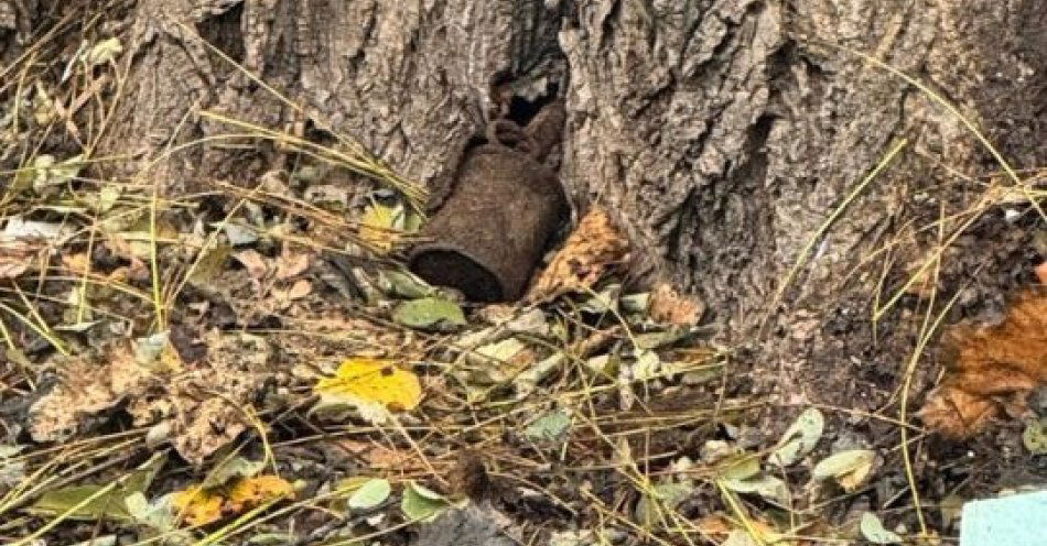 zdjęcie: Niewybuch przy szkole w Gliwicach ewakuacja i objazdy / fot. KMP w Gliwicach