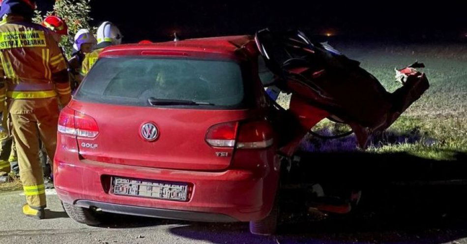 zdjęcie: Zjechał na pobocze i uderzył w drzewo. Policjanci wyjaśniają okoliczności wypadku / fot. KPP w Poddębicach