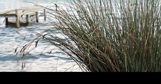 Policjanci wyciągnęli 62-latka z lodowatej wody; temperatura mężczyzny spadła do 29 st. C