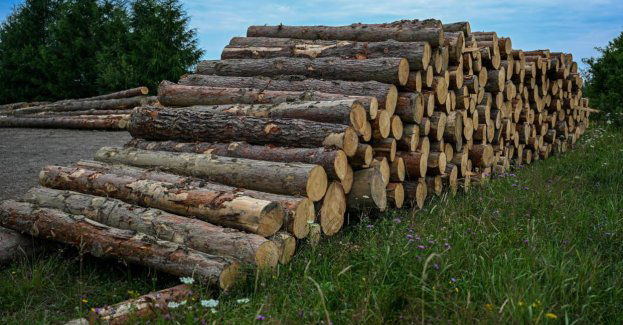 Użycie drewna w budownictwie nie jest neutralne dla środowiska