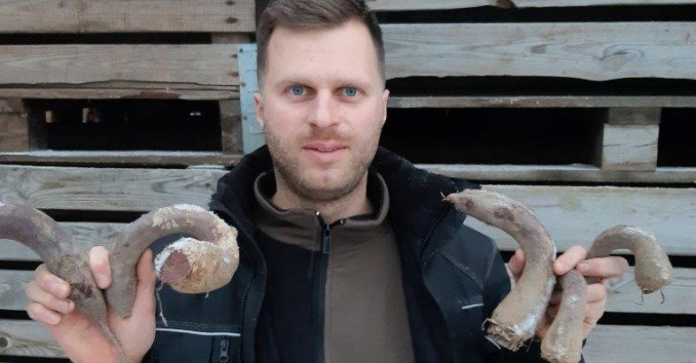 zdjęcie: Na pomoc „słynnym” burakom! Too Good To Go ratuje „niestandardowe” warzywa od lokalnego rolnika / fot. nadesłane