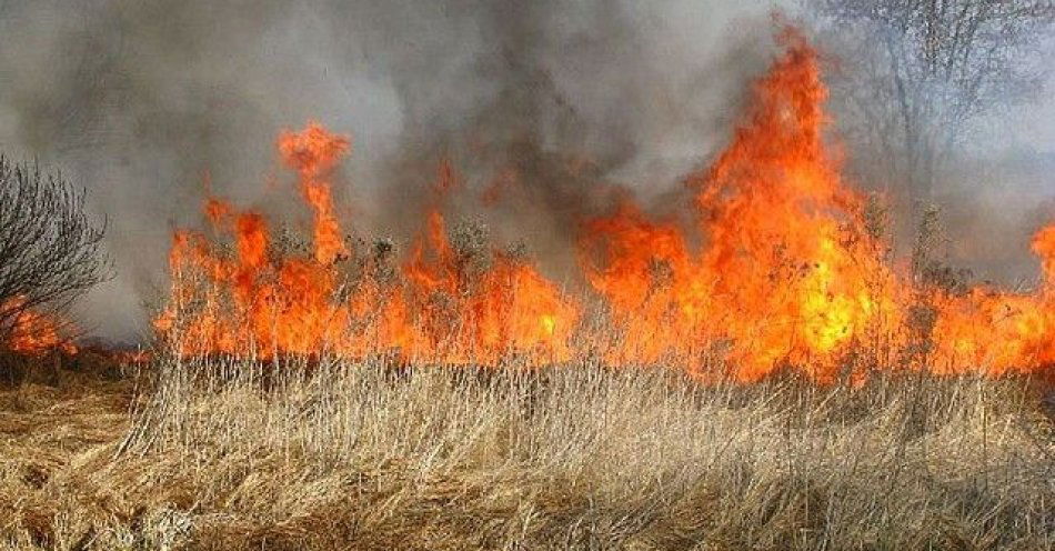 zdjęcie: 29 pożarów traw w jeden weekend w powiecie jasielskim / fot. KPP w Jaśle