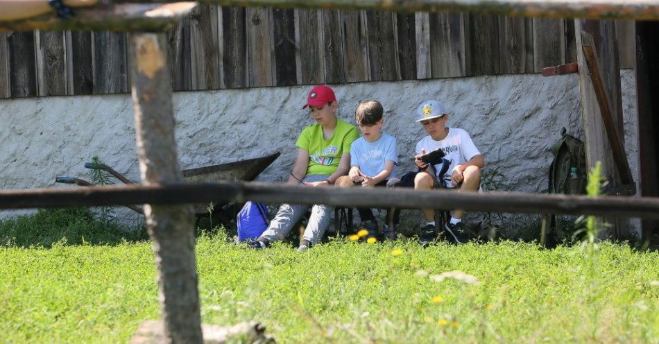 zdjęcie: Kuratorzy zatwierdzili dotąd 27,2 tys. wyjazdów i półkolonii / fot. PAP