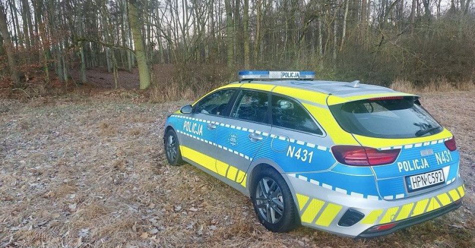 zdjęcie: Niewybuchy z II wojny ujawnione w tczewskim lesie / fot. KPP w Tczewie