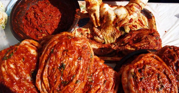 Kombucha czy kimchi - które fermentowane produkty są najlepsze dla mózgu?