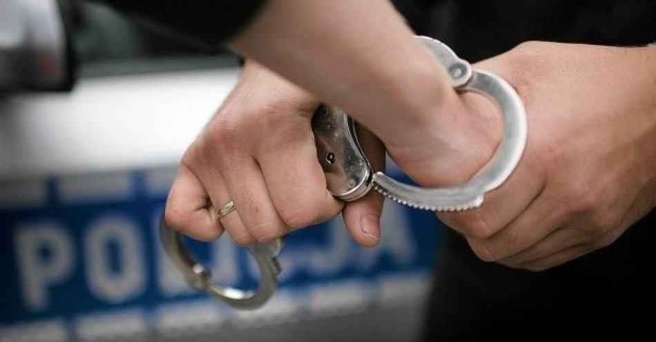 zdjęcie: Poszukiwany wpadł podczas kontroli drogowej / fot. KPP w Białobrzegach