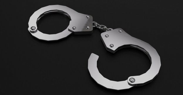 Taki powrót z rybek