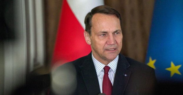 Sikorski po rozmowie z szefem MSZ Niemiec: należy zapobiec aukcji przedmiotów z czasu terroru niemieckiego