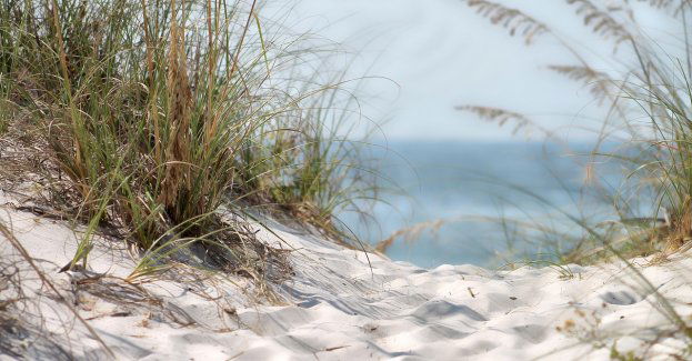 Śmierć dziecka na kąpielisku strzeżonym - biegły oceni zachowanie ratowników