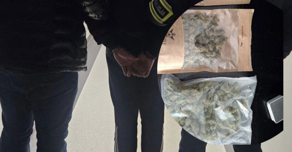 zdjęcie: W Koninie zatrzymano mężczyznę w wieku 30 lat z ponad 230 g marihuany / fot. KMP w Koninie