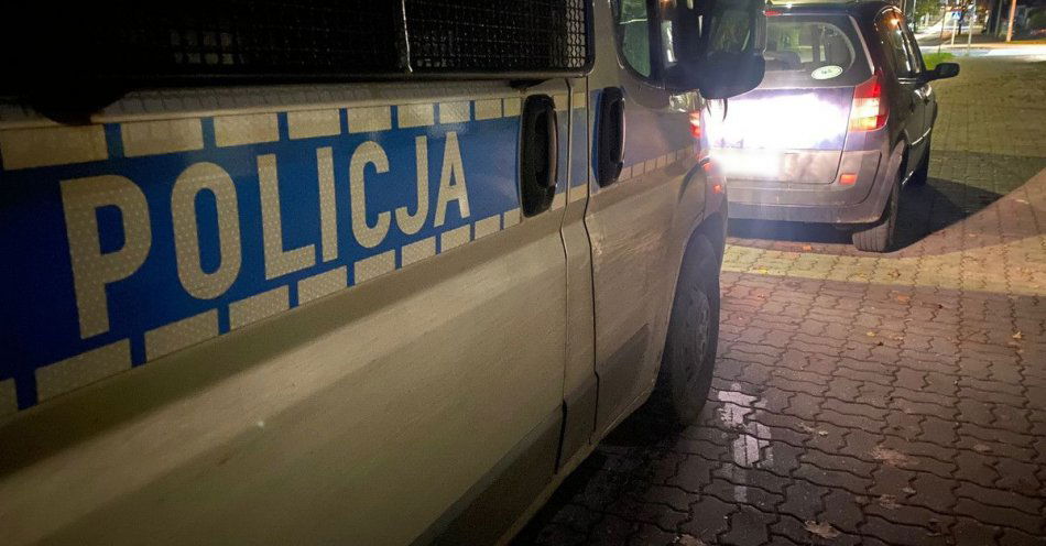 zdjęcie: Pijana jechała nocą bez świateł / fot. KPP w Świeciu