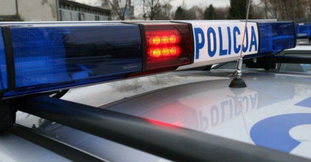 Wieczorne poszukiwania grzybiarza