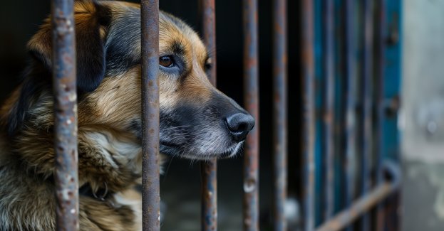 Został doprowadzony do prokuratury