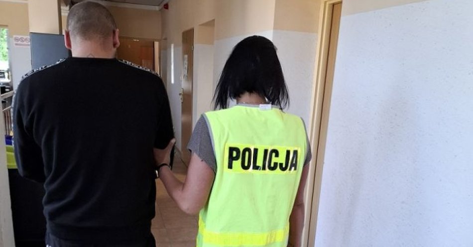 zdjęcie: Posiadał 100 gramów amfetaminy - został zatrzymany przez policjantów / fot. KPP w Pruszczu Gdańskim