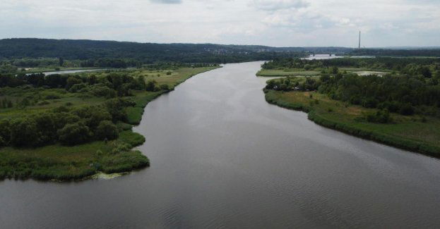 Wody Polskie apelują do firm o zmniejszenie zrzutów do Odry