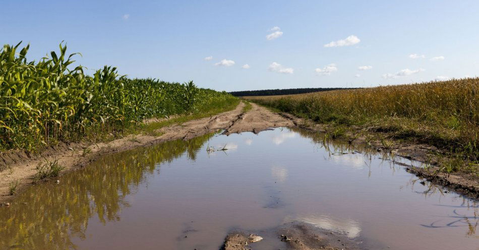 zdjęcie: Blisko 1,2 tys. rolników złożyło wnioski o wsparcie po wrześniowej powodzi / v9720367