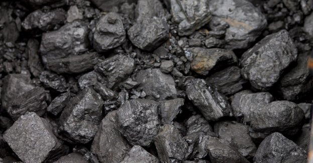 Zakup węgla przez internet. Jak nie dać się oszukać?