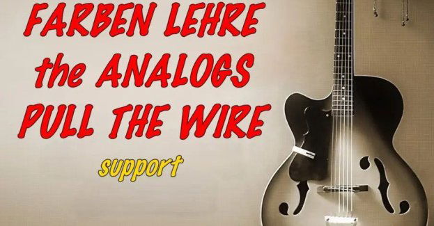 PUNKY REGGAE live 2026, czyli 20 koncertowych mgnień wiosny