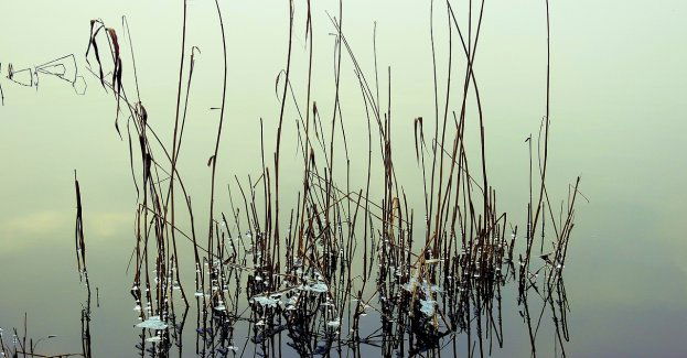 Na Oławie możliwe niewielkie przekroczenia stanów alarmowych