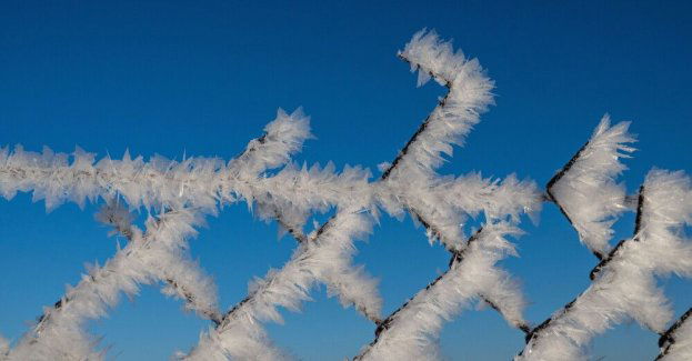 RCB: 37 ofiar mrozów w Polsce; IMGW wydał alerty 2. stopnia dla części kraju