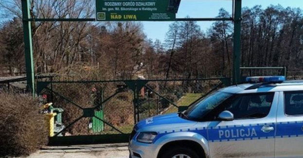 Zadbaj o swój ogródek działkowy