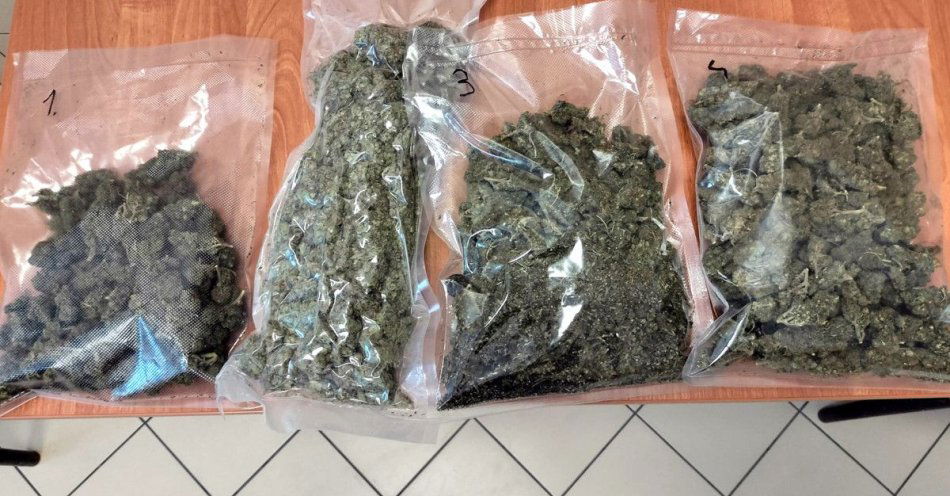 zdjęcie: Toruń Rubinkowo: policja zabezpieczyła ponad 850 g marihuany / fot. KMP w Toruniu