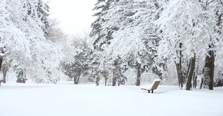 zdjęcie: Ostrzeżenie meteorologiczne przed silnym mrozem do wtorku / pexels/954710