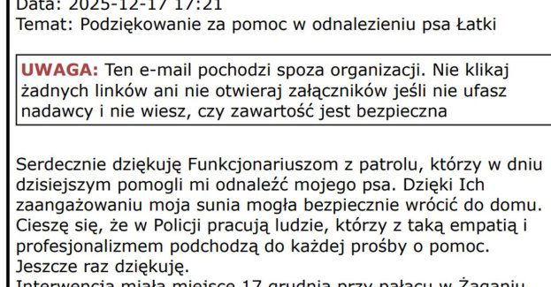 Policjanci odnaleźli zagubioną Łatkę i oddali psa właścicielce